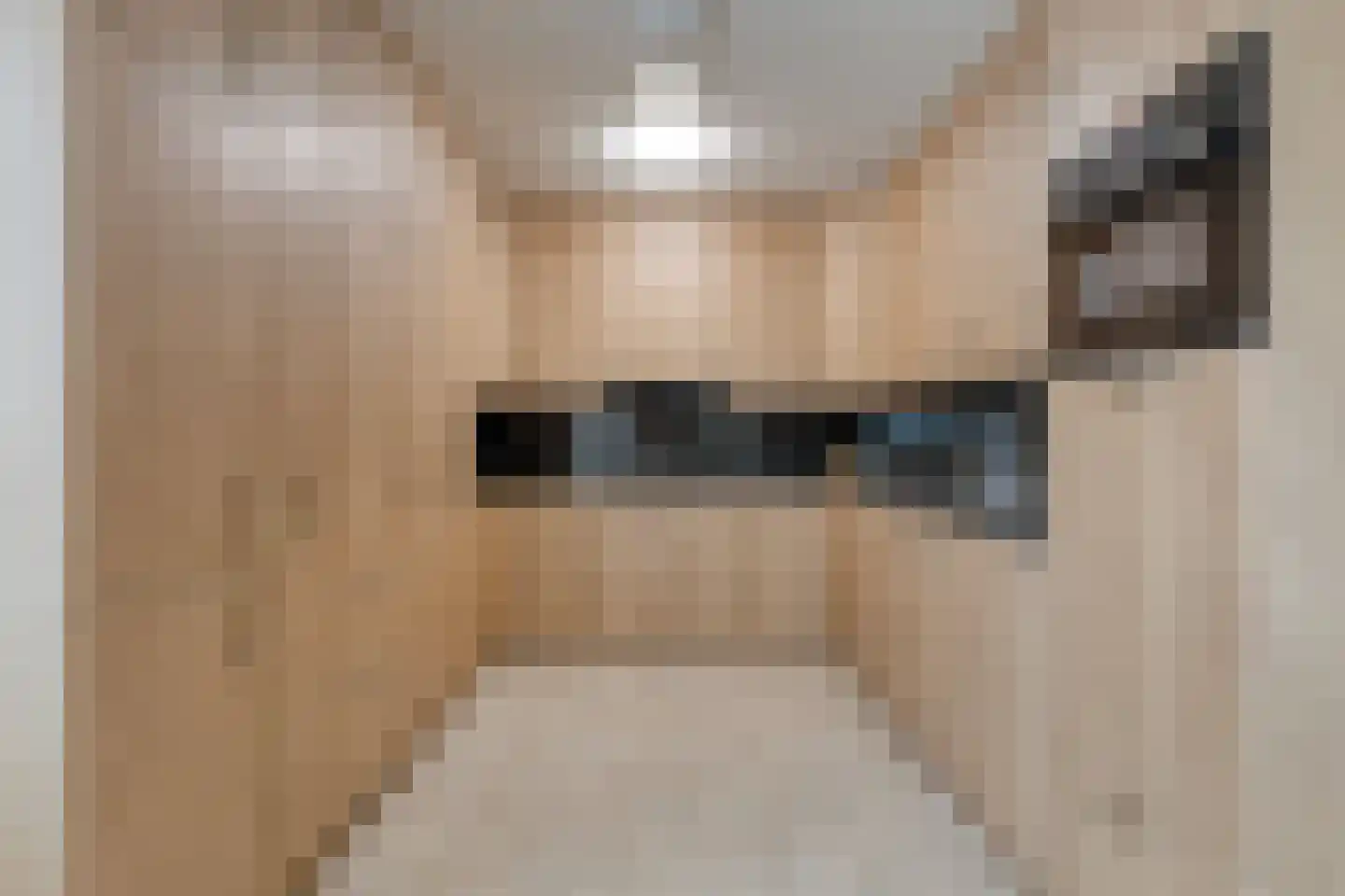 Vogelenzang 4 Someren thumbnail 16