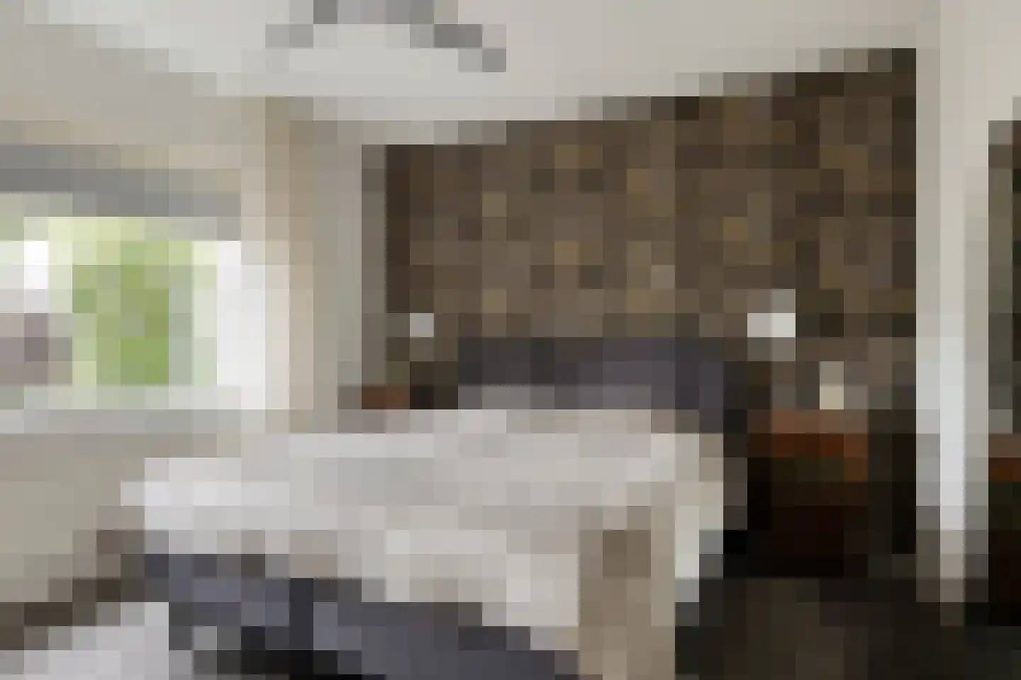 Vogelenzang 4 Someren thumbnail 21