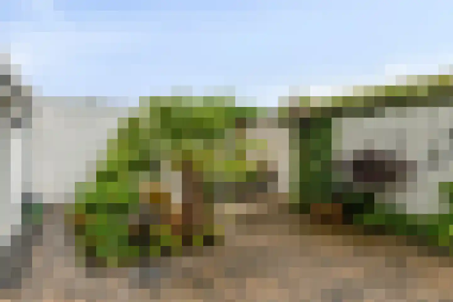 Vogelenzang 4 Someren thumbnail 29