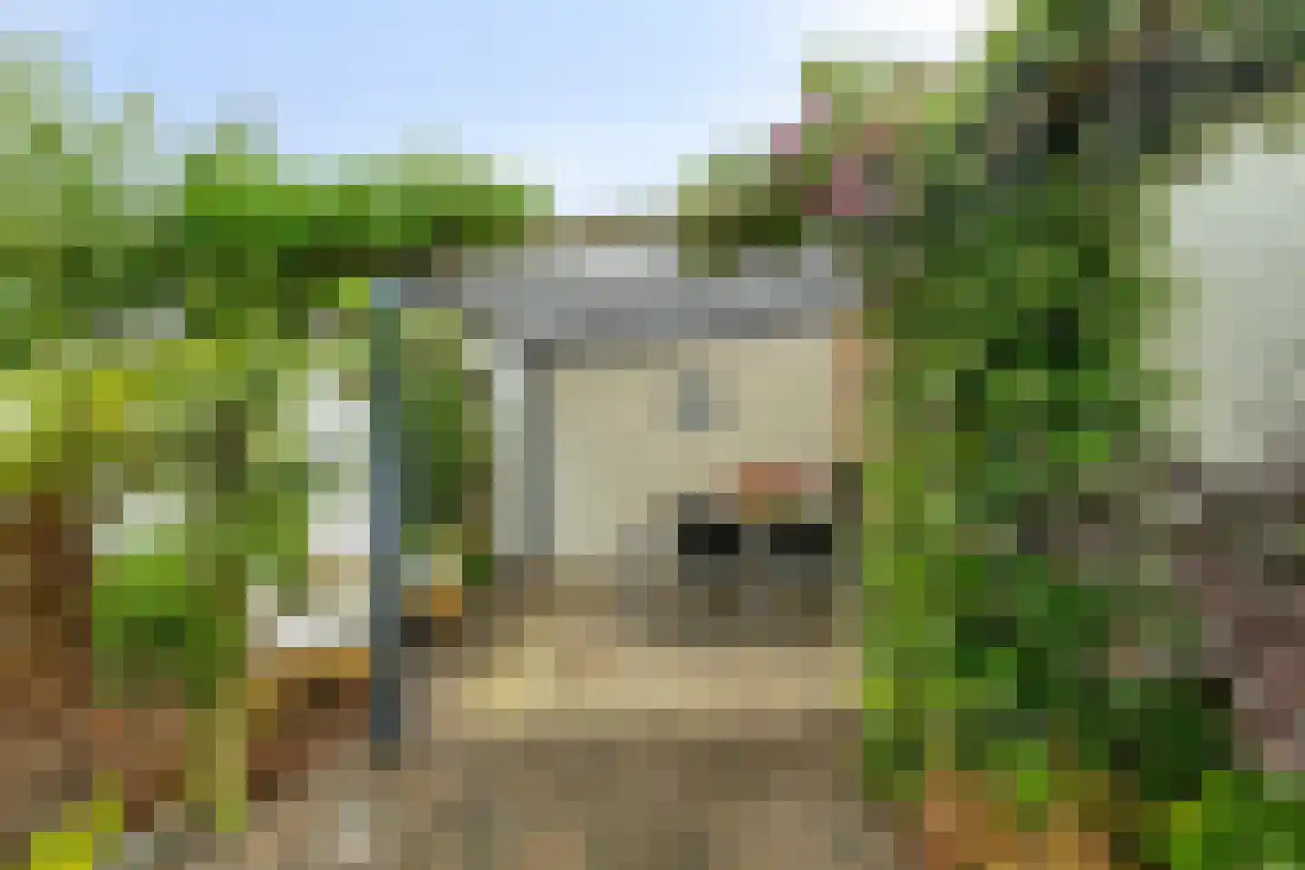 Vogelenzang 4 Someren thumbnail 31