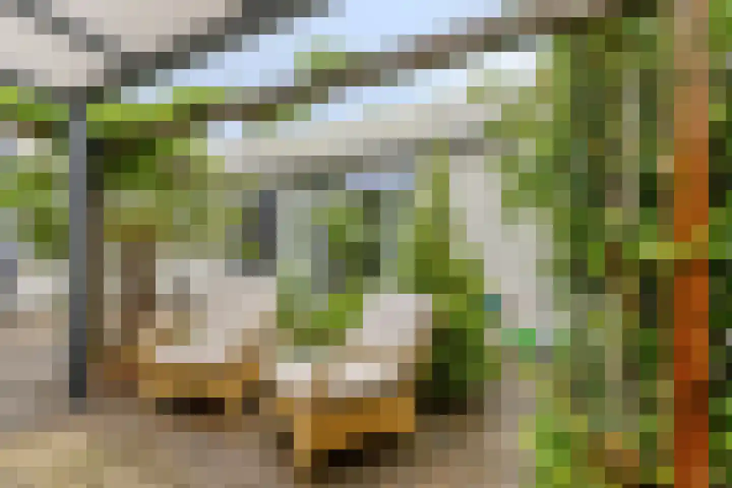 Vogelenzang 4 Someren thumbnail 33