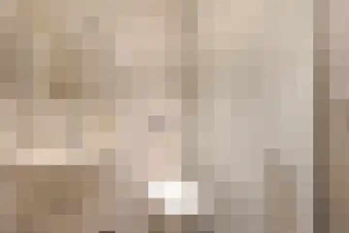 Vogelenzang 45 Sliedrecht thumbnail 10