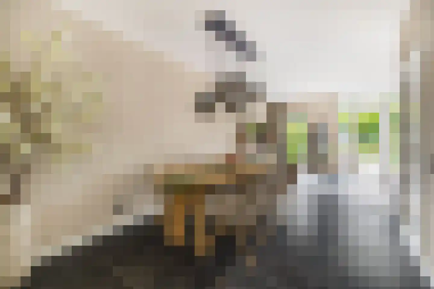 Vogelenzang 48 Kaatsheuvel thumbnail 12