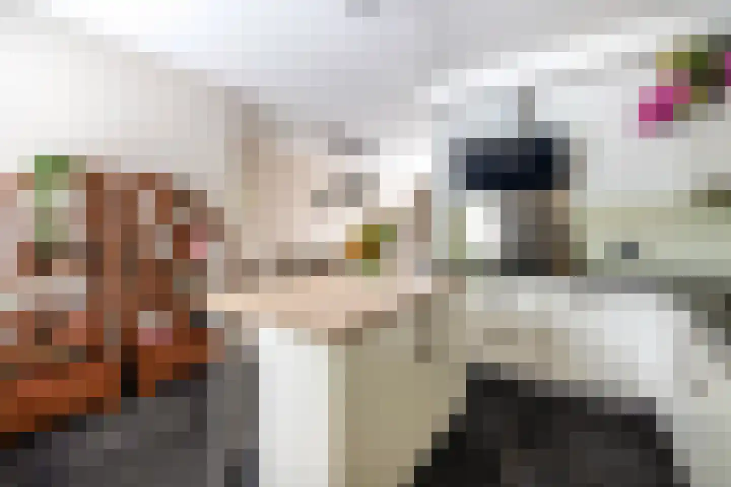 Vogelenzang 48 Kaatsheuvel thumbnail 13