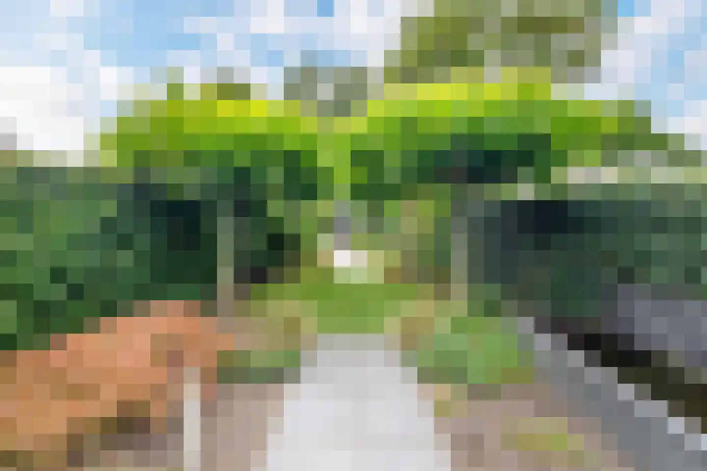 Vogelenzang 48 Kaatsheuvel thumbnail 18