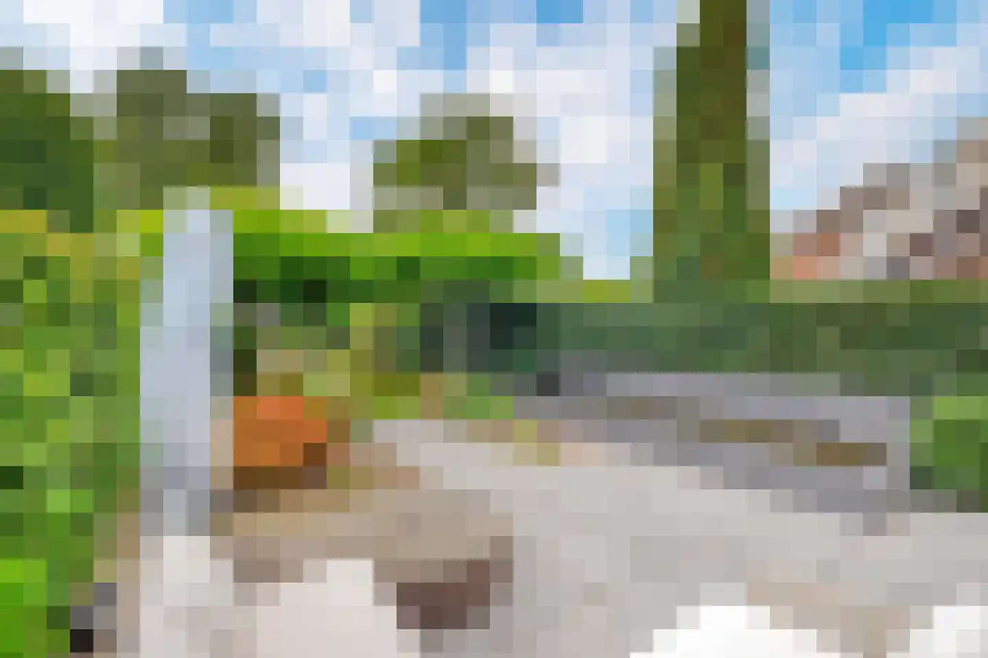 Vogelenzang 48 Kaatsheuvel thumbnail 19
