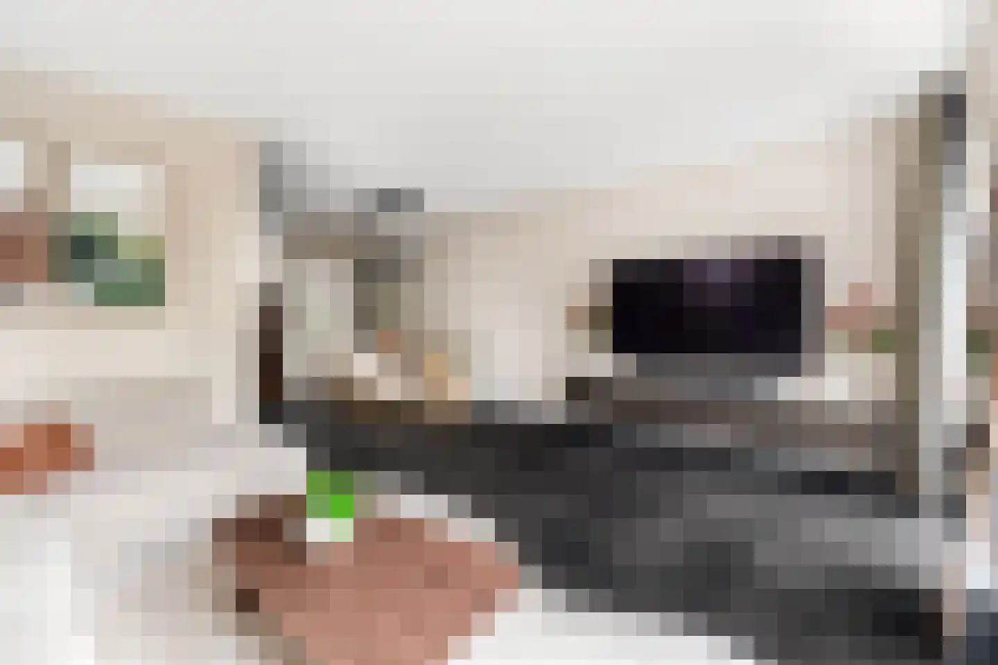 Vogelenzang 48 Kaatsheuvel thumbnail 9