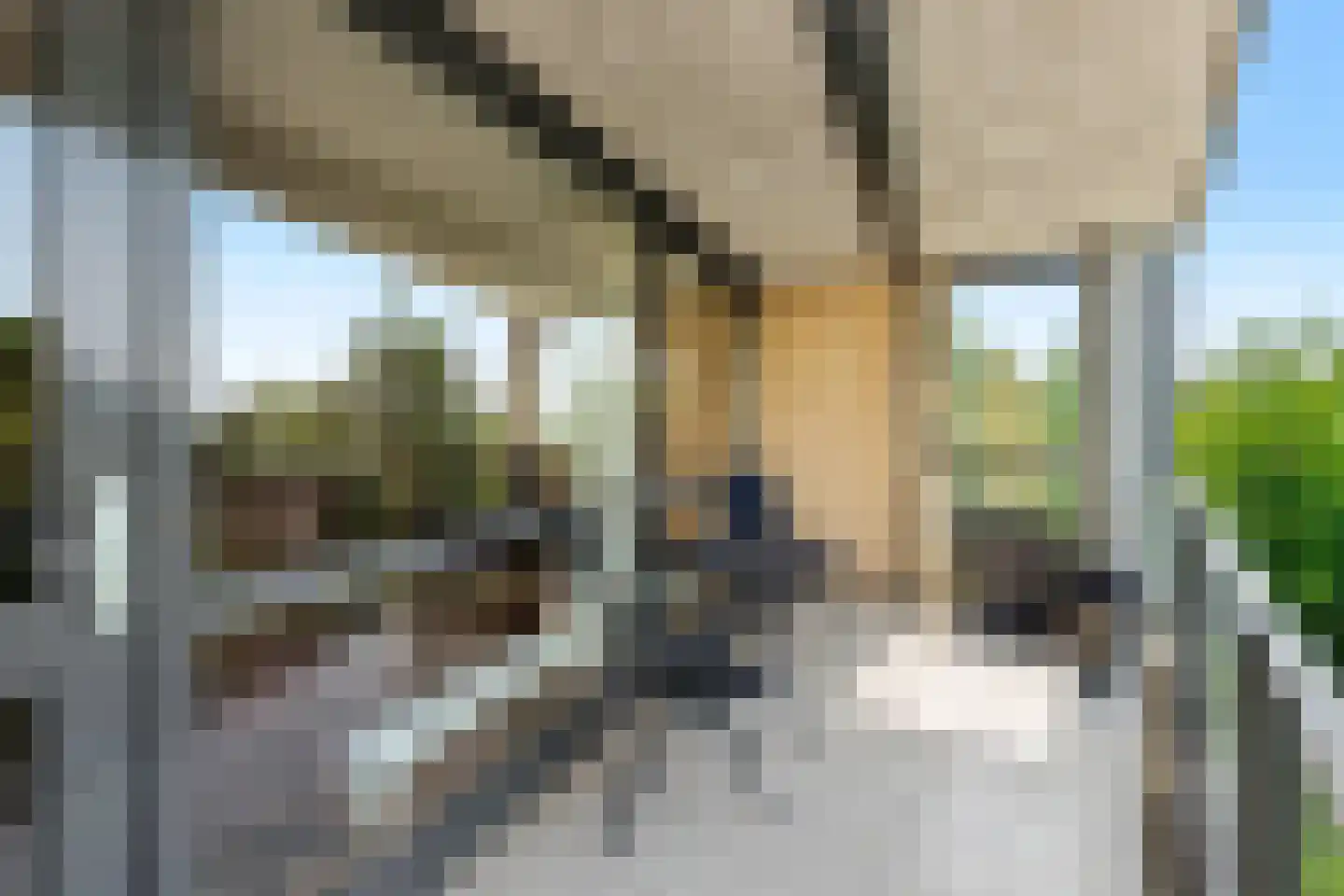 Vogelenzang 6 11 Rhenen thumbnail 23