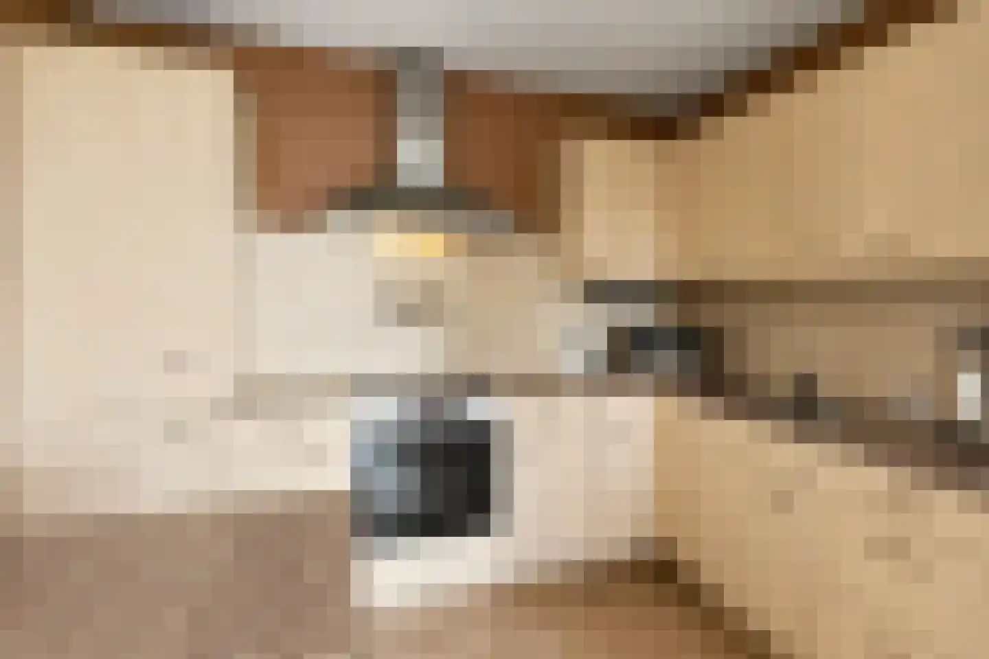 Vogelenzang 6 11 Rhenen thumbnail 4
