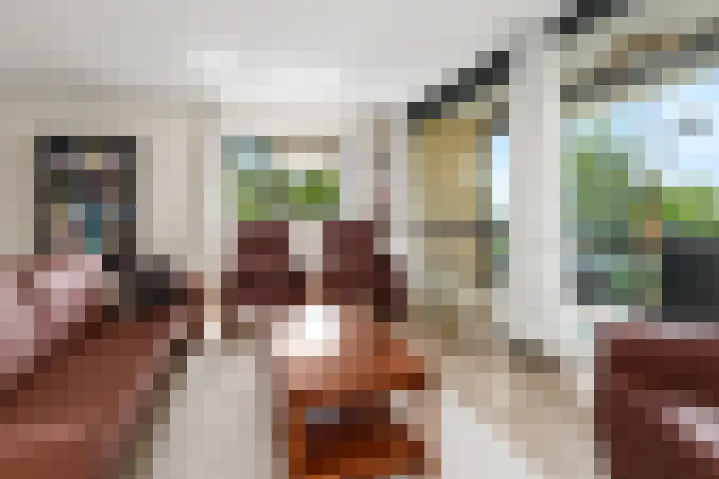 Vogelenzang 6 11 Rhenen thumbnail 9