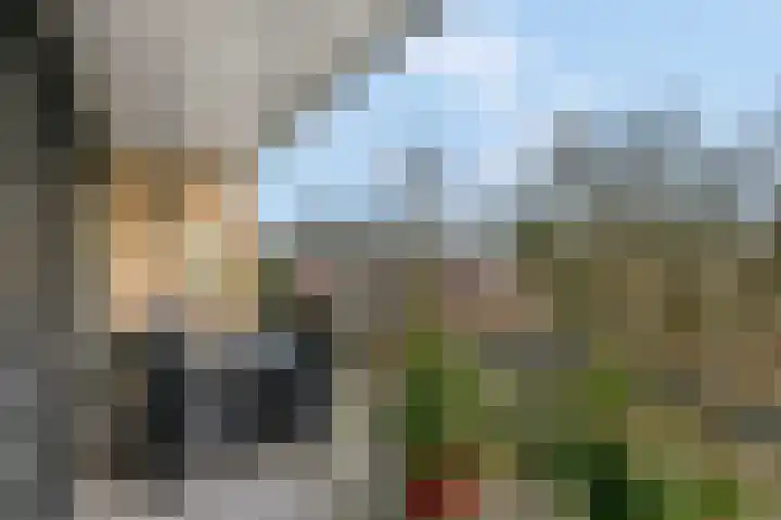 Vogelenzang 6 15 Rhenen thumbnail 10