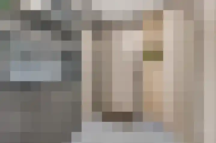 Vogelenzang 6 15 Rhenen thumbnail 5