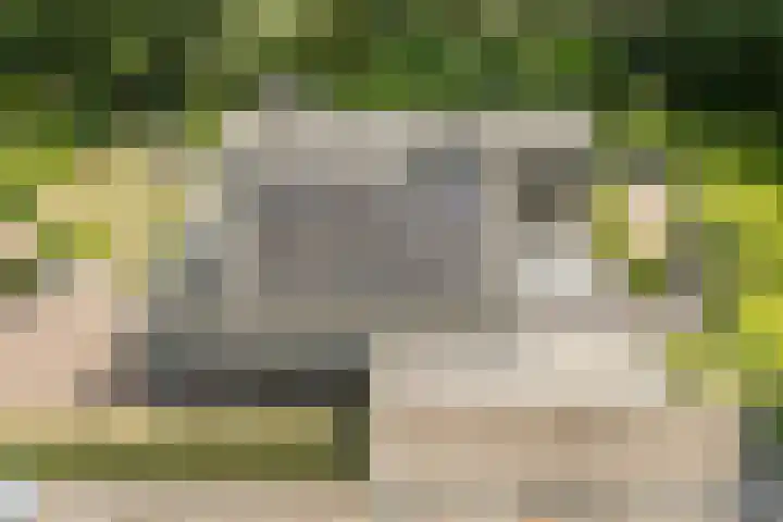 Vogelenzang 6 Malden thumbnail 100