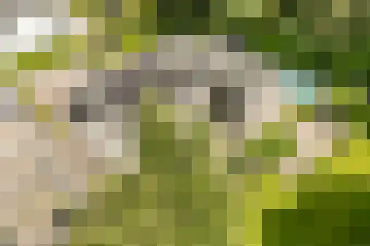 Vogelenzang 6 Malden thumbnail 101