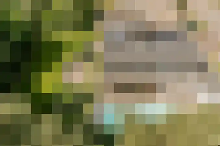 Vogelenzang 6 Malden thumbnail 102