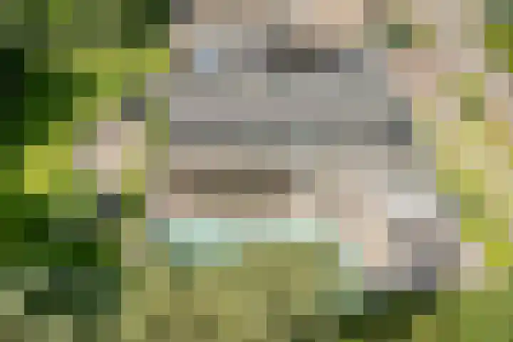 Vogelenzang 6 Malden thumbnail 104