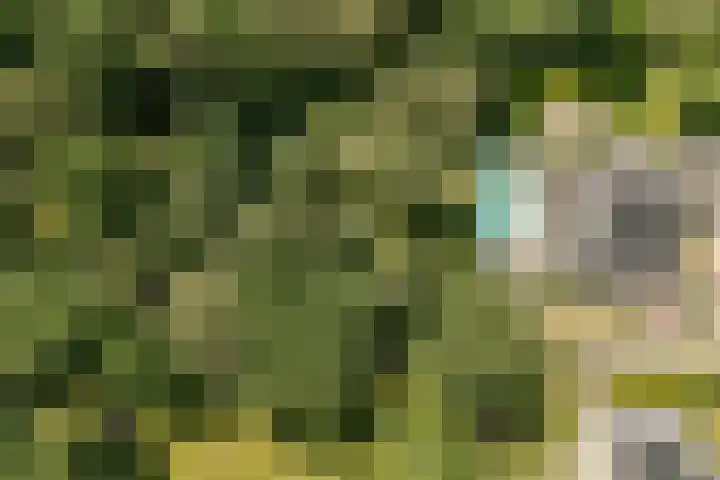 Vogelenzang 6 Malden thumbnail 106