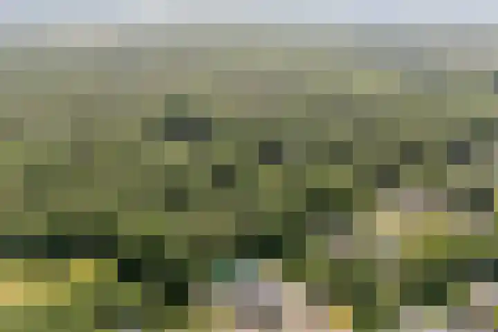 Vogelenzang 6 Malden thumbnail 107