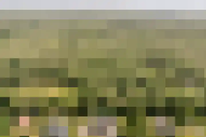 Vogelenzang 6 Malden thumbnail 108