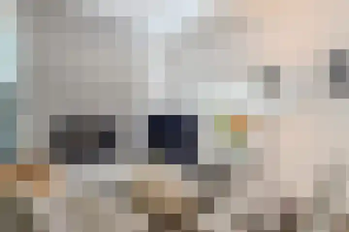 Vogelenzang 6 Malden thumbnail 11