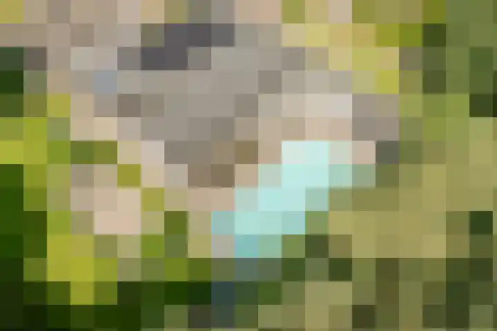 Vogelenzang 6 Malden thumbnail 110