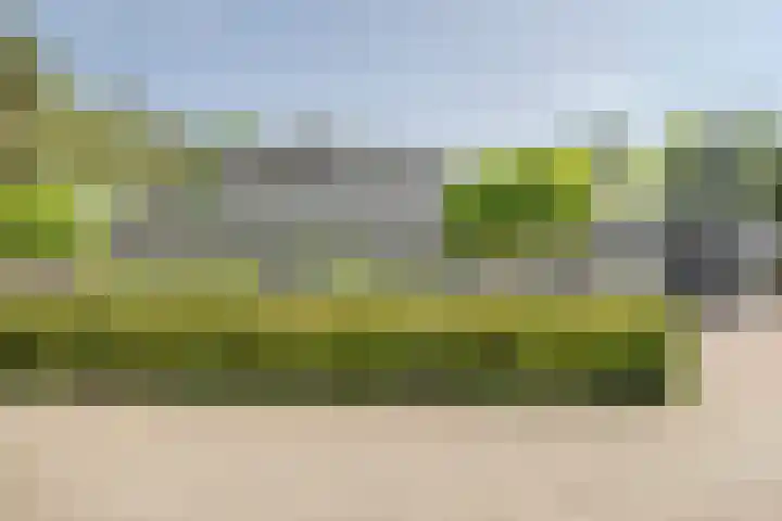 Vogelenzang 6 Malden thumbnail 111