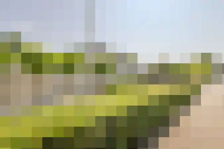 Vogelenzang 6 Malden thumbnail 112