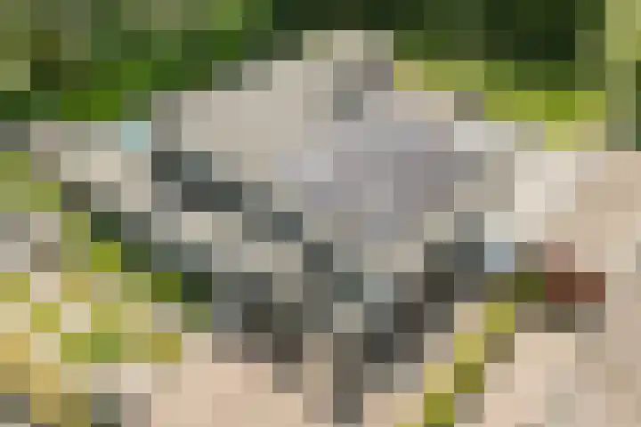 Vogelenzang 6 Malden thumbnail 113