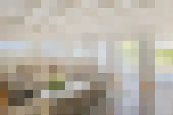 Vogelenzang 6 Malden thumbnail 15