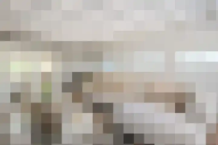 Vogelenzang 6 Malden thumbnail 16