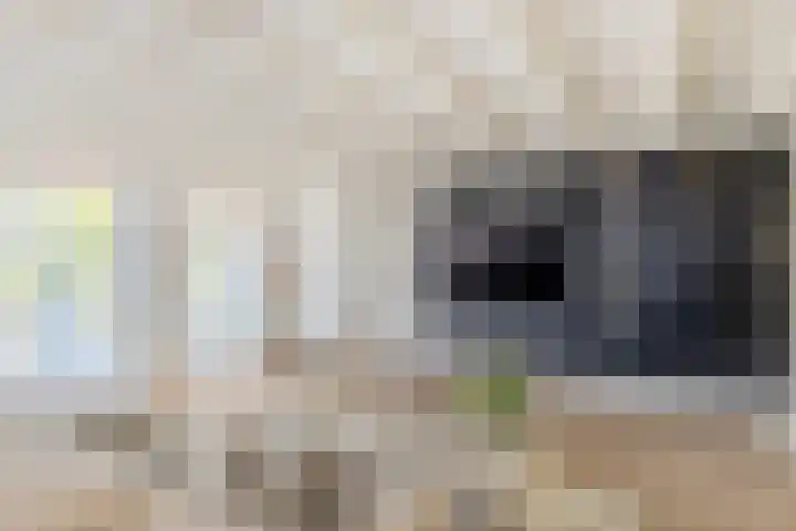 Vogelenzang 6 Malden thumbnail 18