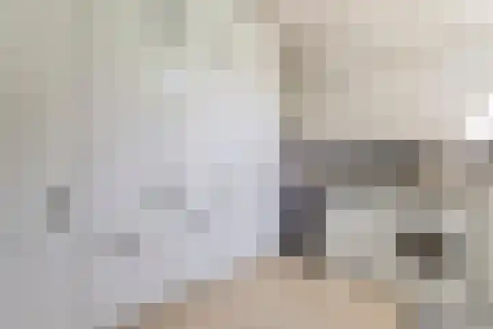 Vogelenzang 6 Malden thumbnail 34