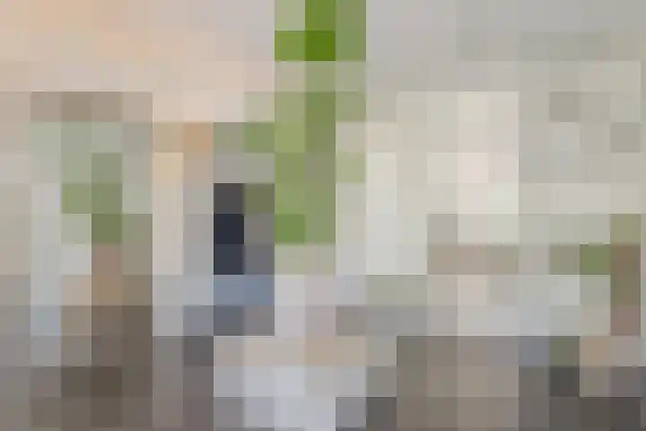 Vogelenzang 6 Malden thumbnail 4