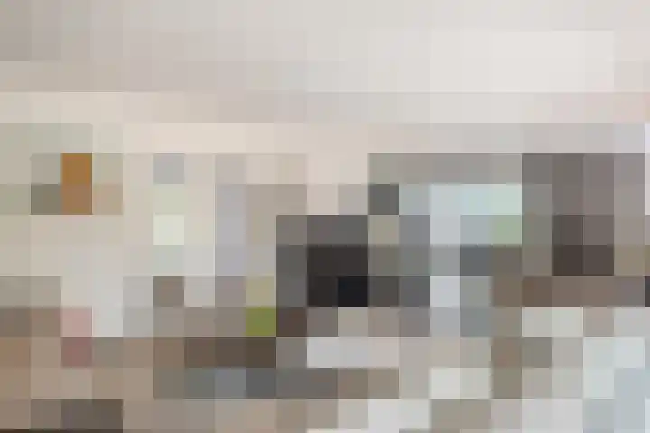 Vogelenzang 6 Malden thumbnail 7