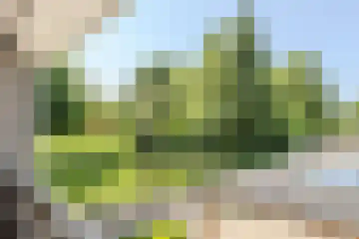 Vogelenzang 6 Malden thumbnail 78