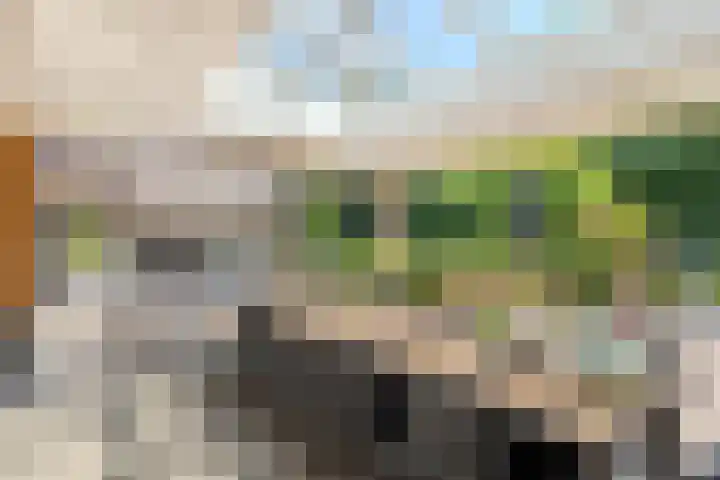 Vogelenzang 6 Malden thumbnail 79