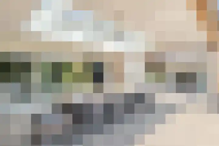 Vogelenzang 6 Malden thumbnail 80