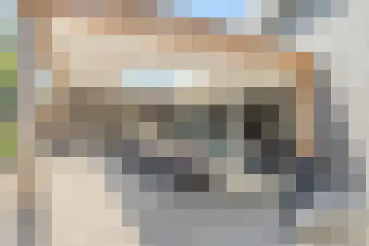 Vogelenzang 6 Malden thumbnail 82