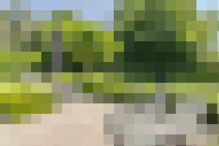 Vogelenzang 6 Malden thumbnail 83