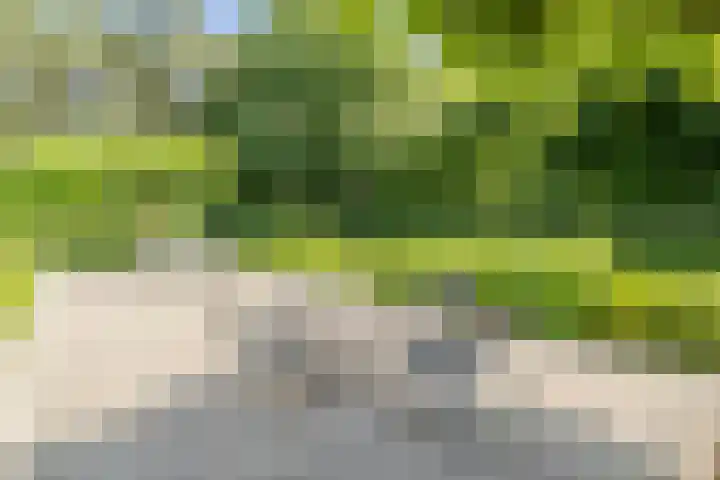 Vogelenzang 6 Malden thumbnail 84