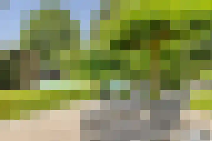Vogelenzang 6 Malden thumbnail 85