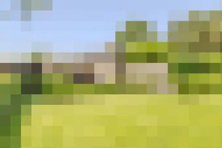 Vogelenzang 6 Malden thumbnail 86