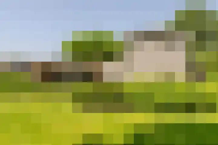 Vogelenzang 6 Malden thumbnail 87
