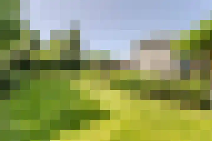 Vogelenzang 6 Malden thumbnail 88