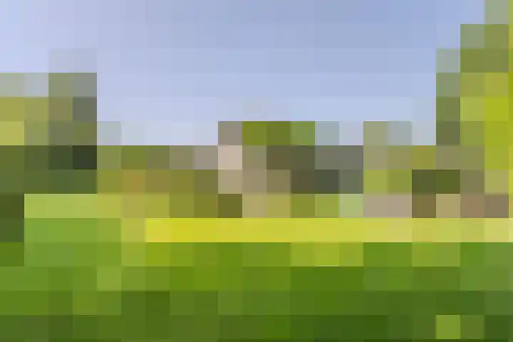 Vogelenzang 6 Malden thumbnail 89