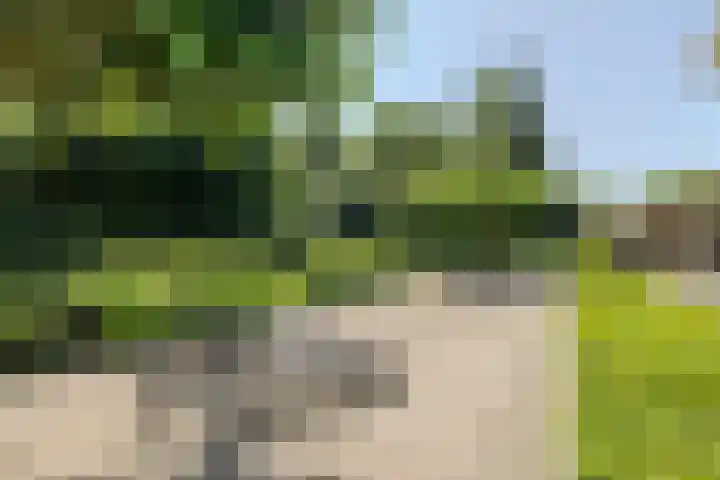Vogelenzang 6 Malden thumbnail 90