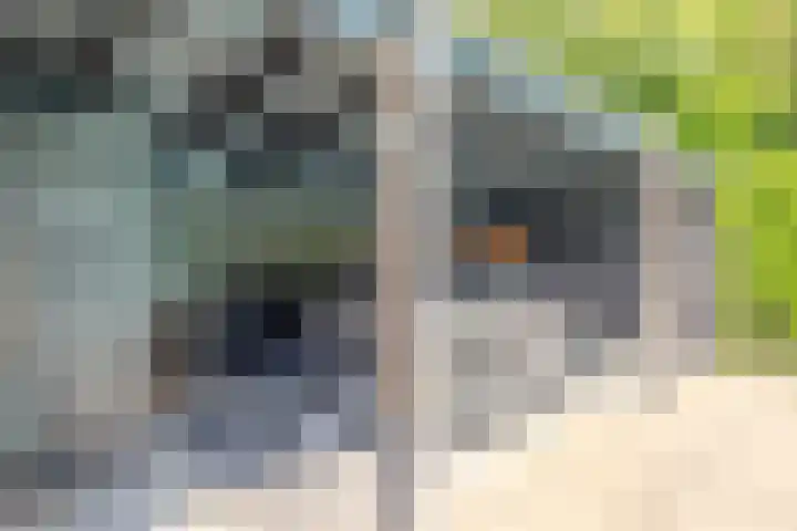 Vogelenzang 6 Malden thumbnail 93