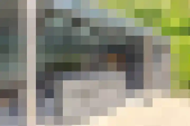Vogelenzang 6 Malden thumbnail 94