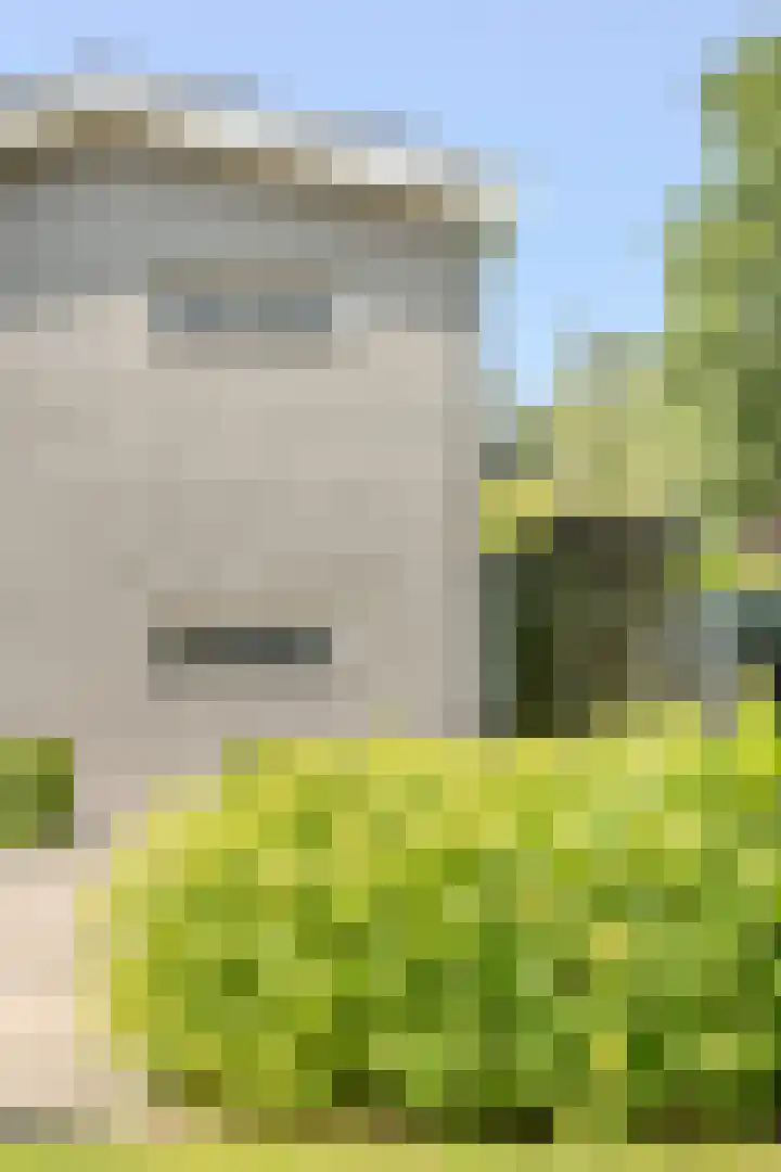 Vogelenzang 6 Malden thumbnail 97