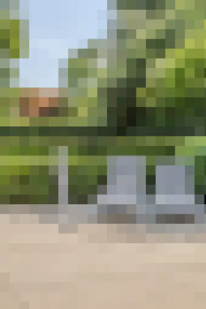 Vogelenzang 6 Malden thumbnail 98